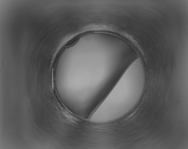 X0000052961175200507080848