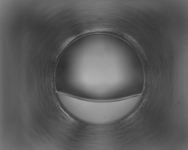 X0000052961177200507080848
