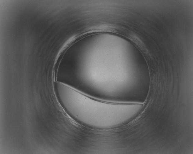 X0000052961180200507080848