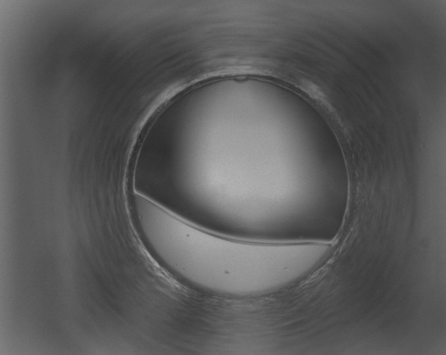 X0000052961181200507080848