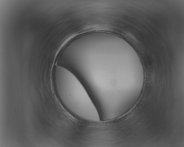 X0000052961182200507080848