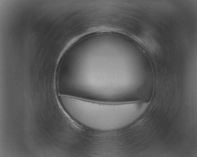 X0000052961183200507080848