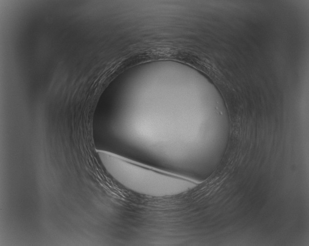 X0000052961201200507080847