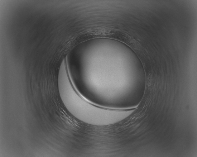 X0000052961202200507080847