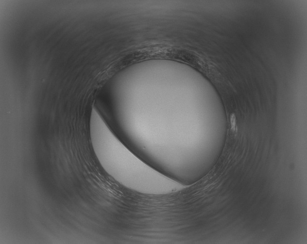 X0000052961203200507080847