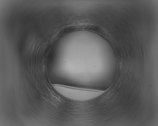 X0000052961204200507080847