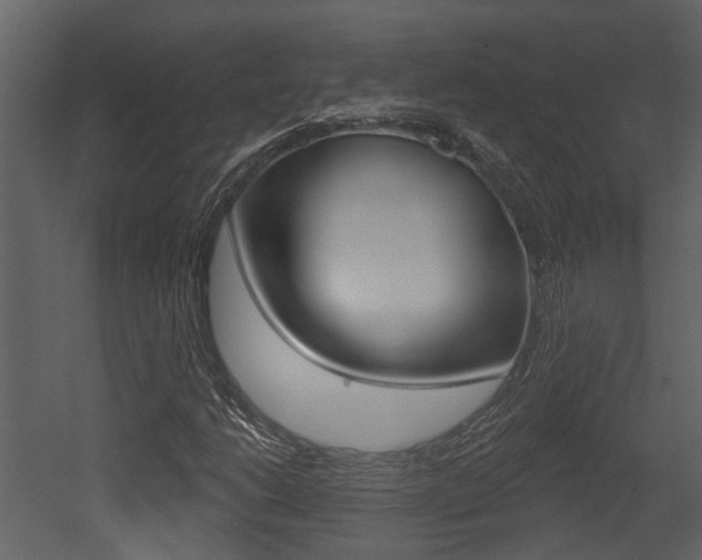 X0000052961206200507080847