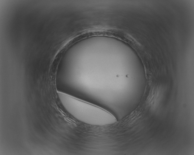 X0000052961208200507080847
