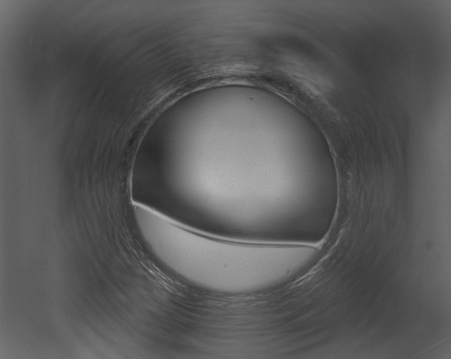 X0000052961209200507080847
