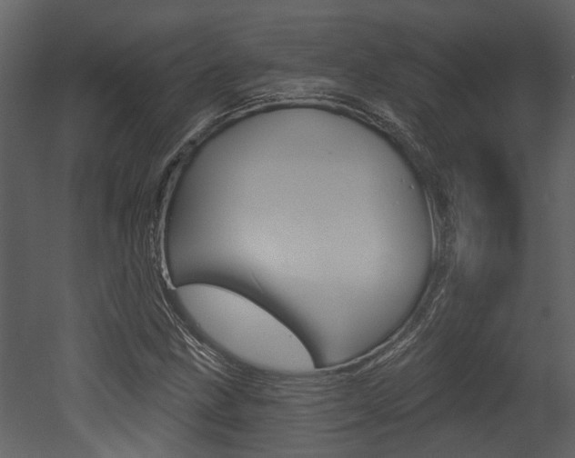 X0000052961211200507080847