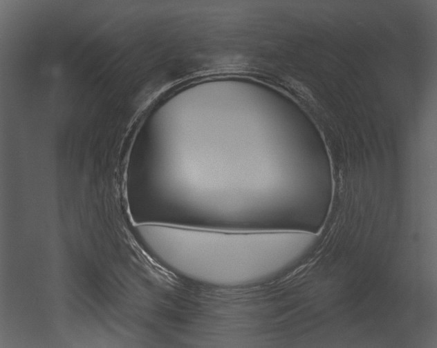 X0000052961212200507080847