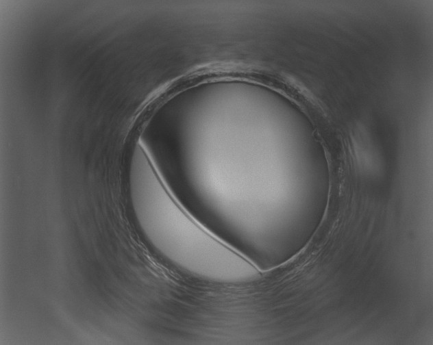X0000052961213200507080847