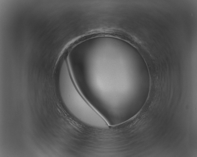 X0000052961214200507080847