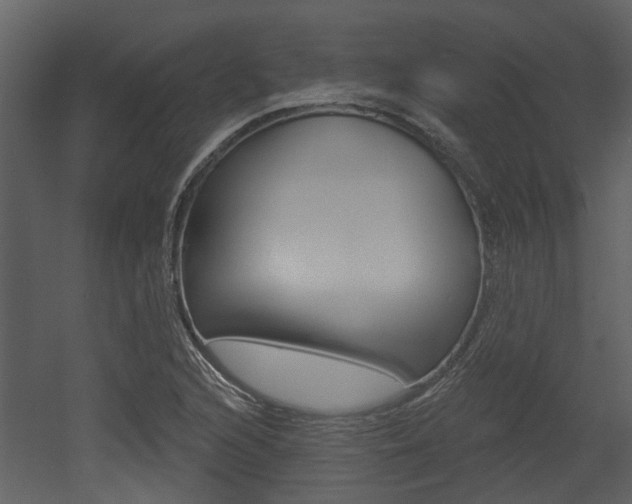 X0000052961216200507080847