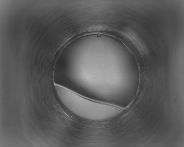 X0000052961217200507080847