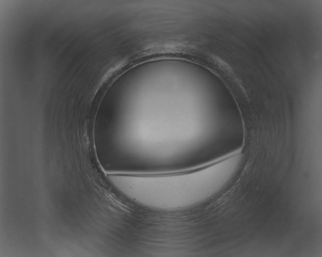 X0000052961218200507080847