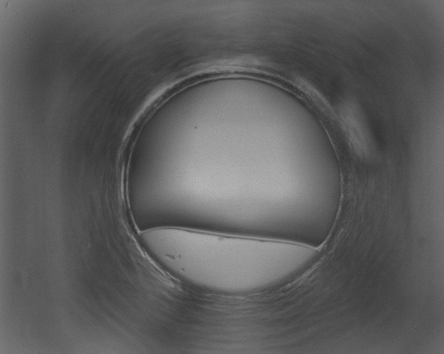 X0000052961224200507080847