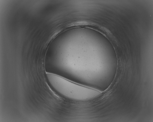 X0000052961225200507080847