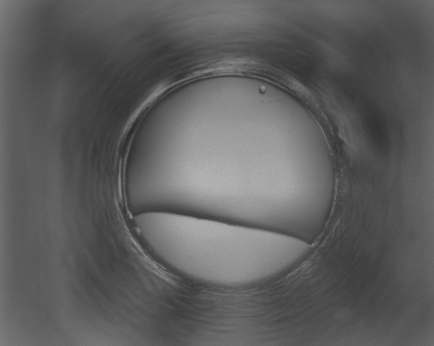 X0000052961227200507080847