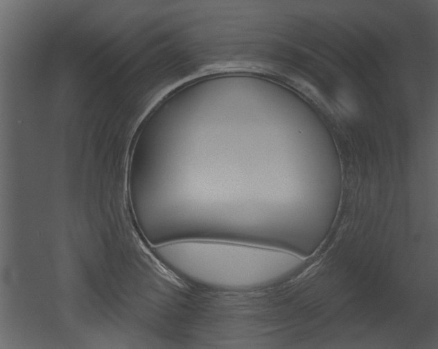 X0000052961228200507080847