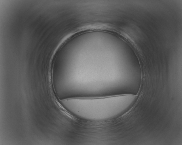 X0000052961232200507080847