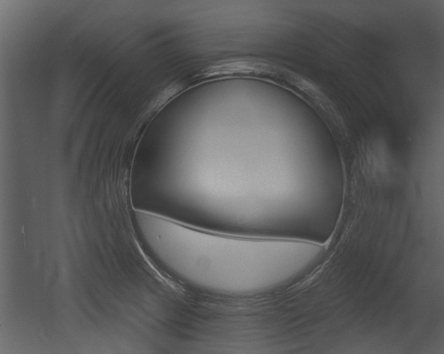 X0000052961233200507080847