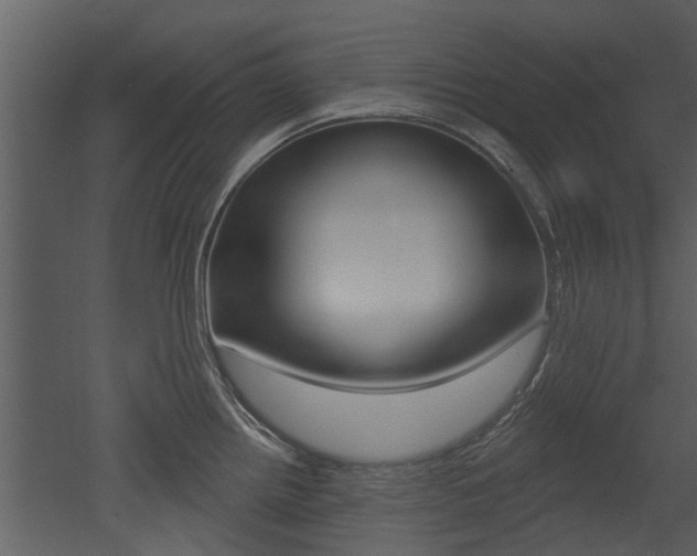 X0000052961242200507080847