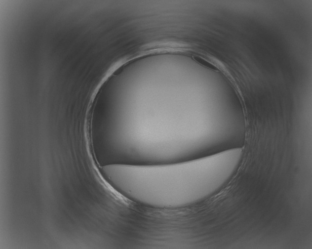 X0000052961243200507080847