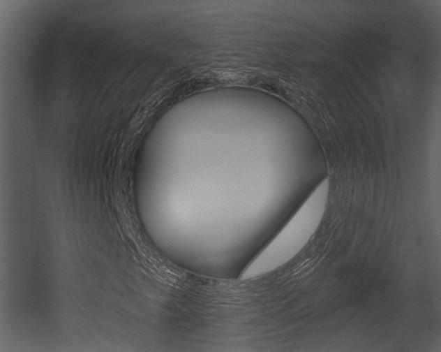 X0000052961249200507080847
