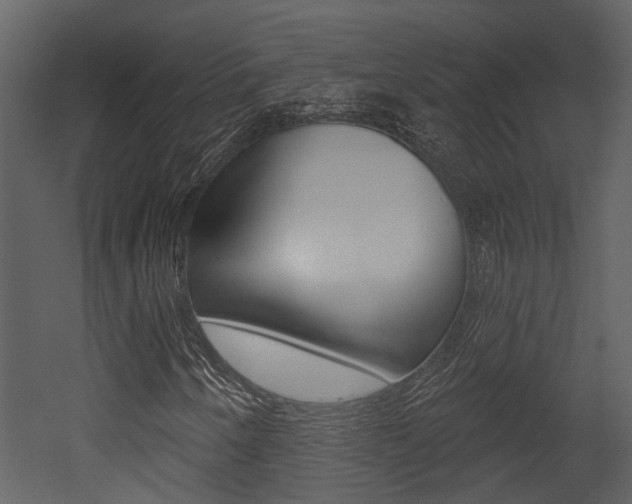 X0000052961250200507080847