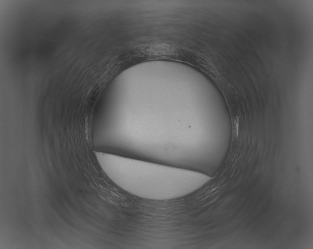 X0000052961251200507080847