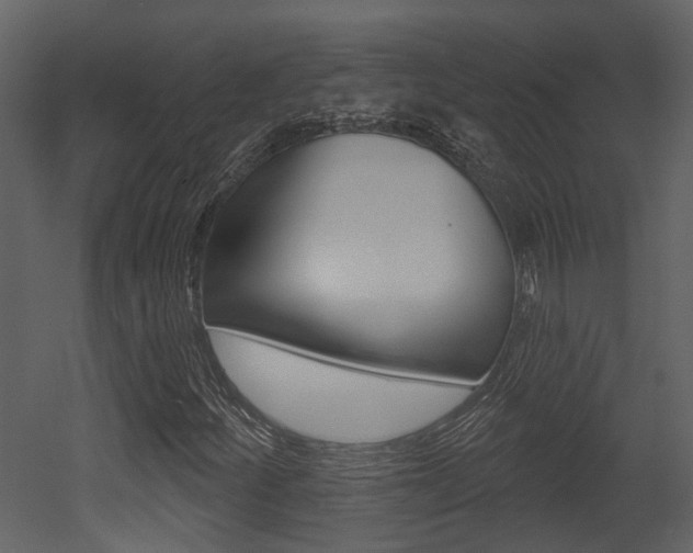 X0000052961252200507080847