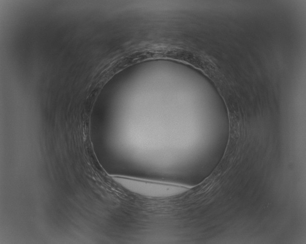 X0000052961253200507080847