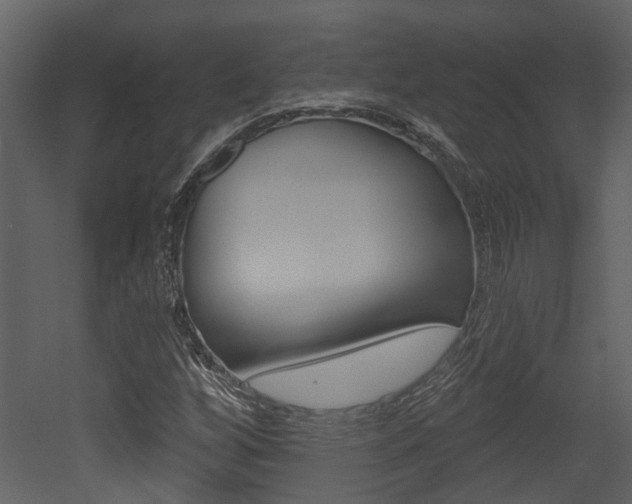 X0000052961256200507080847