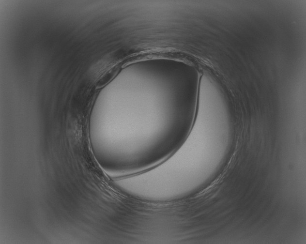 X0000052961257200507080847