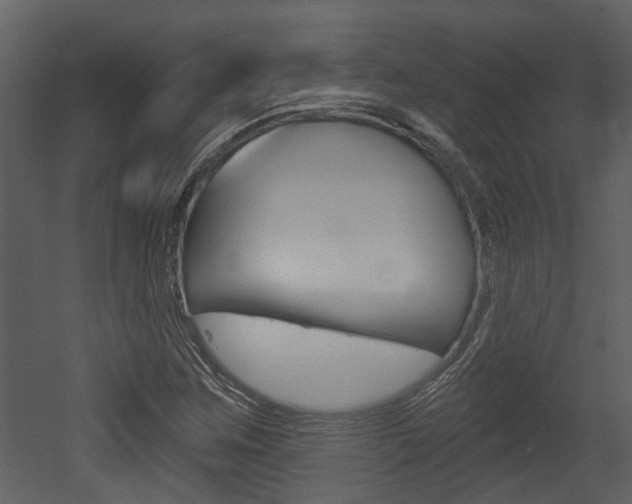 X0000052961259200507080847