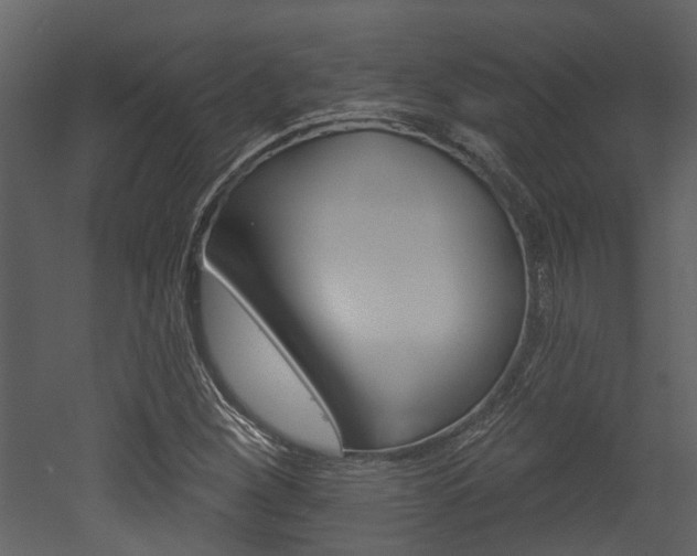 X0000052961260200507080847