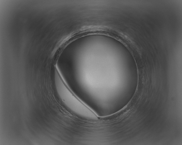 X0000052961261200507080847
