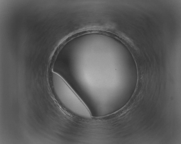 X0000052961264200507080846