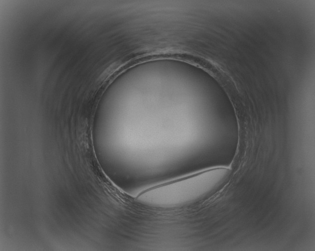 X0000052961265200507080846