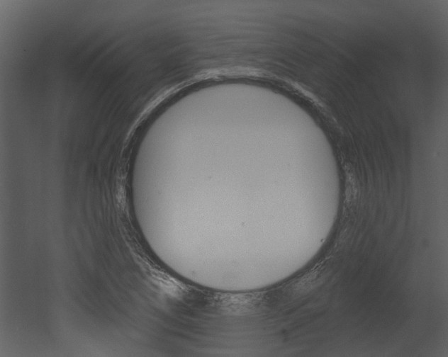 X0000052961266200507080846