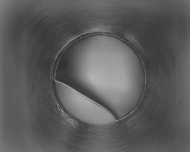 X0000052961268200507080846