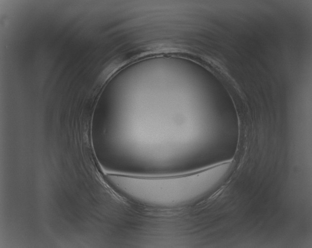 X0000052961273200507080846