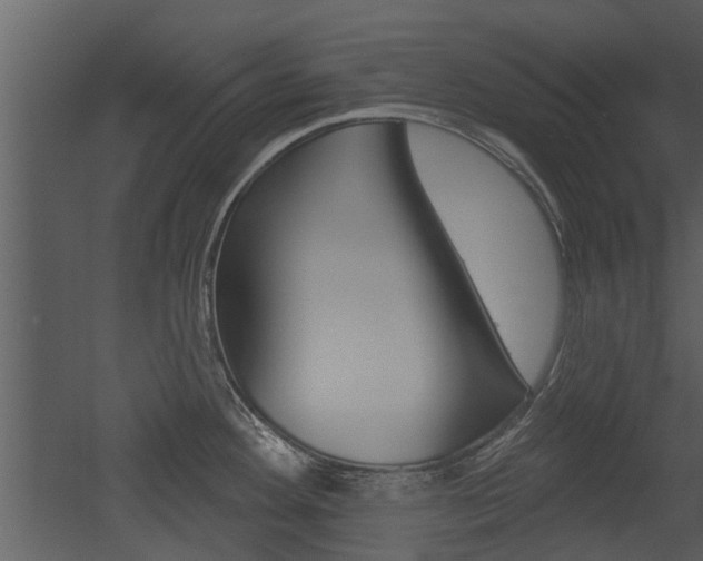 X0000052961292200507080846