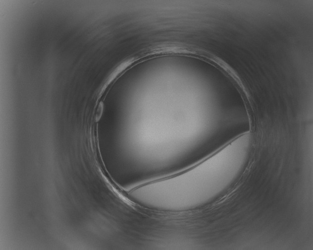 X0000052961293200507080846