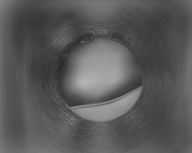 X0000052961297200507080845