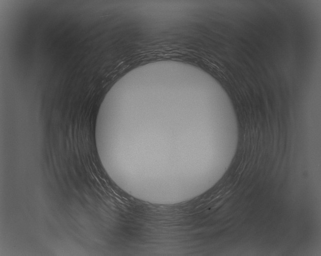 X0000052961298200507080845