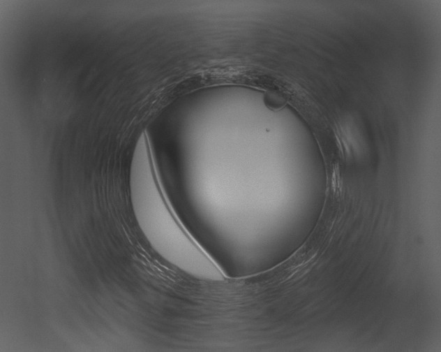 X0000052961299200507080845