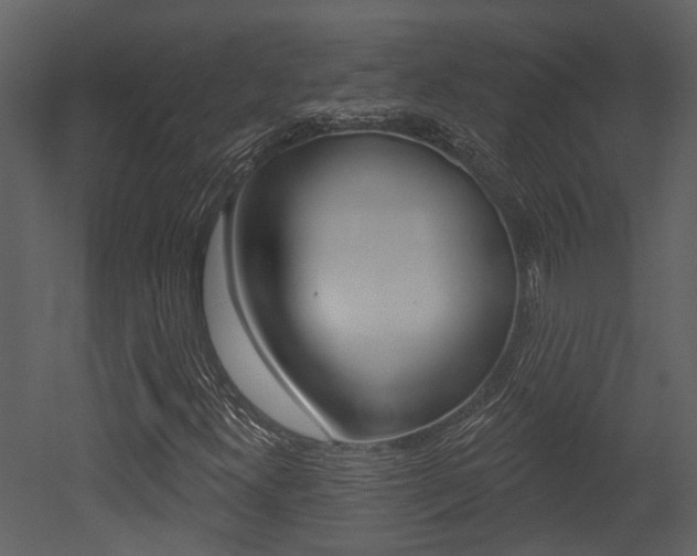 X0000052961300200507080845