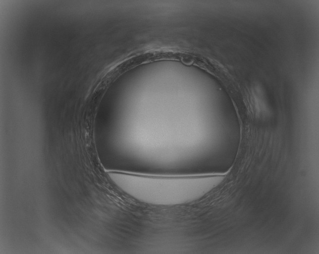X0000052961303200507080845